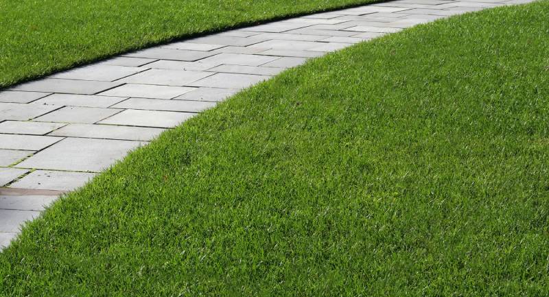 synthetic turf drivway pavers in danville