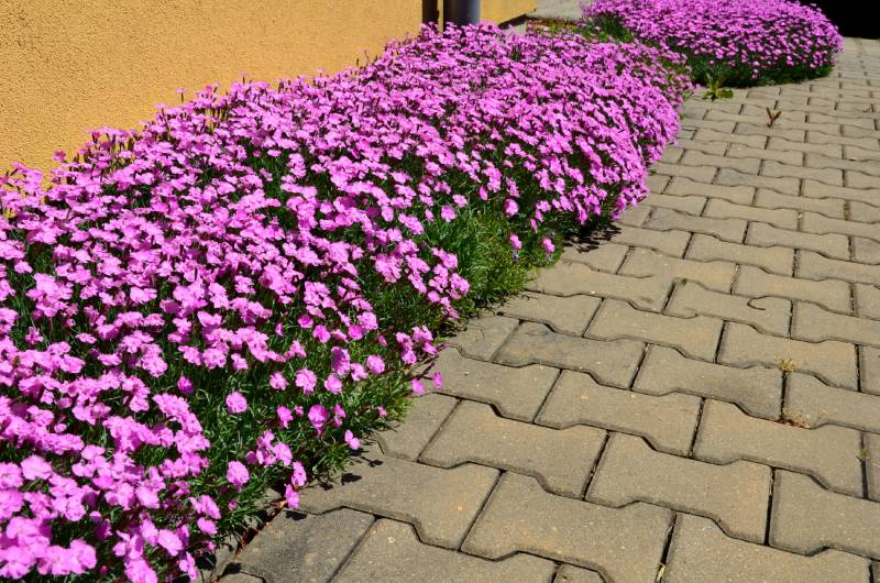 hardscaping in the bay area with interlocking pavers